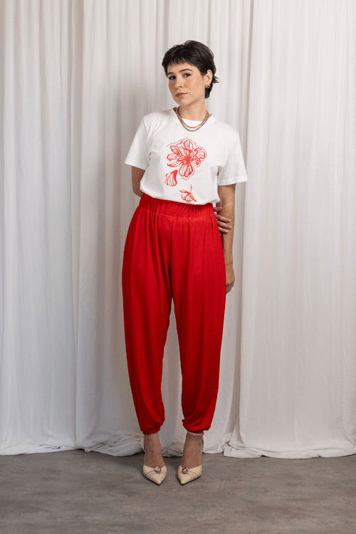 red-site---2025-11-25T152451.028